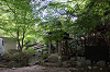 camp30 (175)_thumb.png